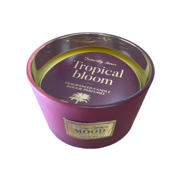 3 wick scented candle, pack of 2